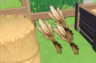 пшеница в Genshin Impact