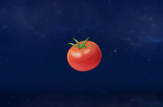 помидоры в Genshin Impact